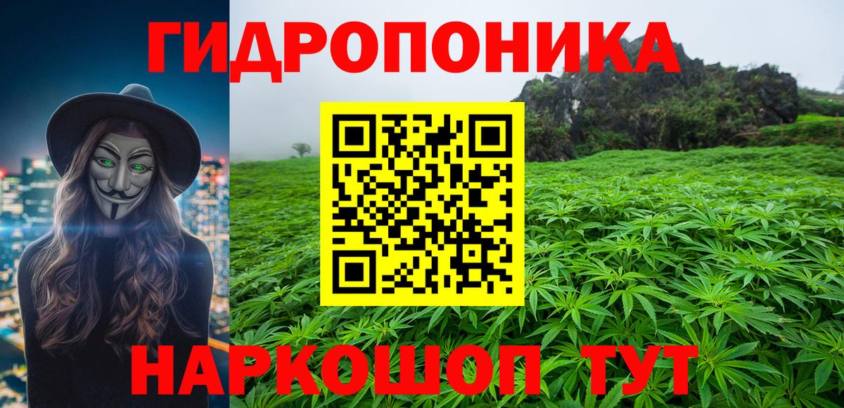 Шишки марихуана OG Kush  Вход с VPN  Минеральные Воды  Бошки марихуана семена  Бошки Шишки OG Kush 